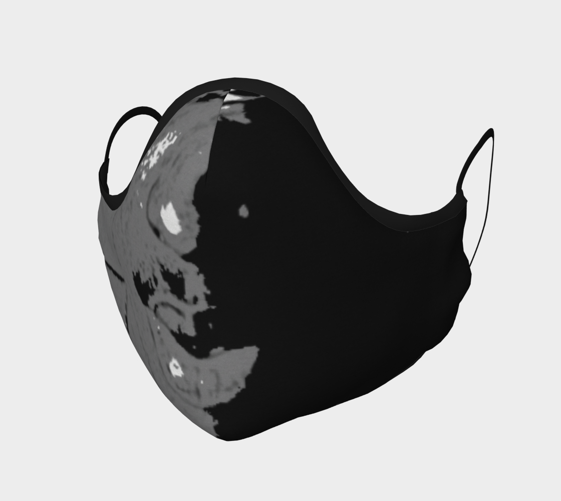 WW2D Mask